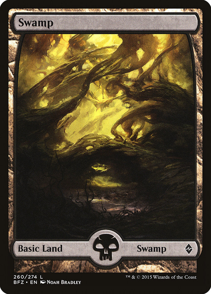 Swamp (260) [Battle for Zendikar]